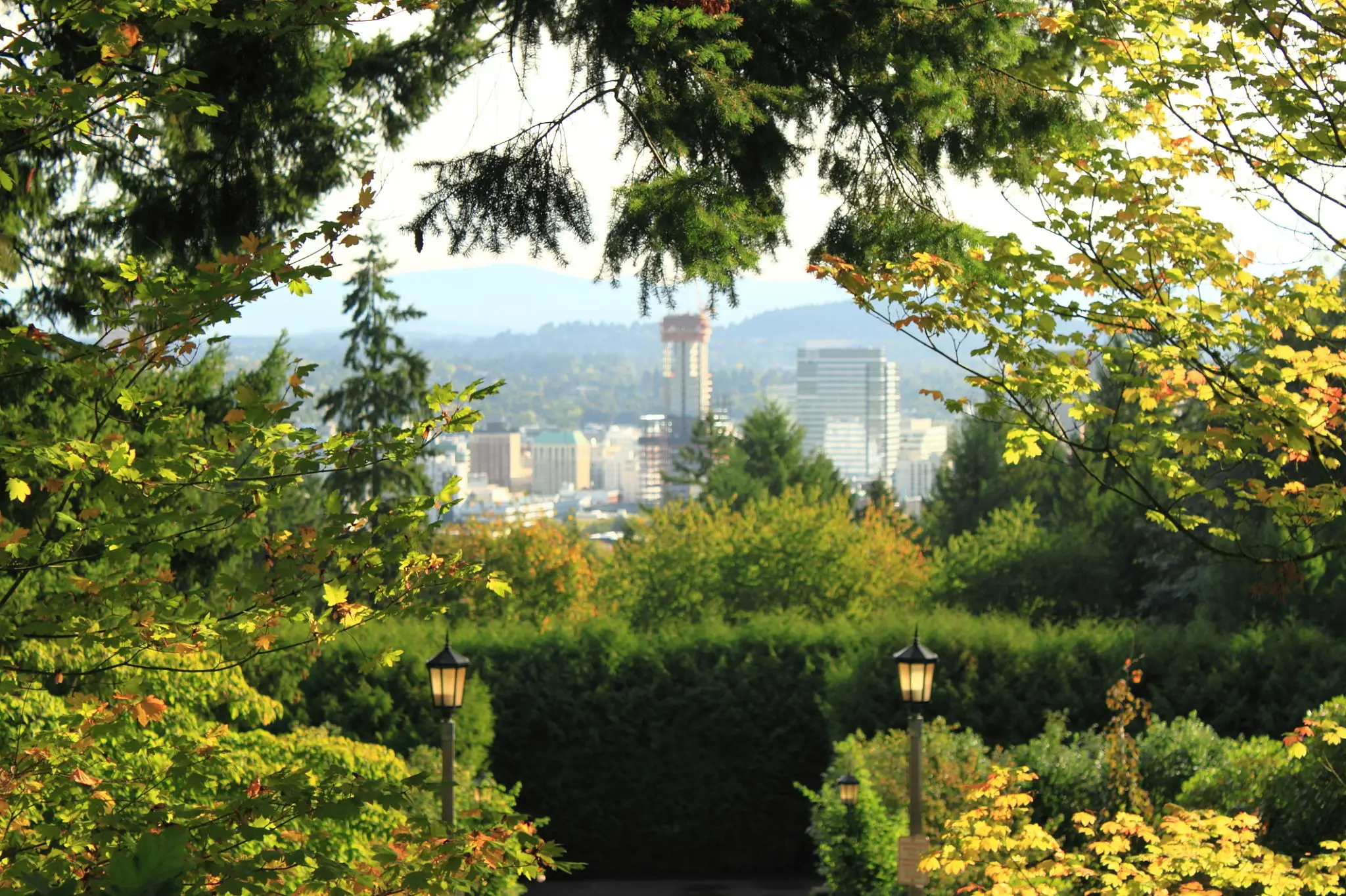 City skyline framed by lush greenery and trees.